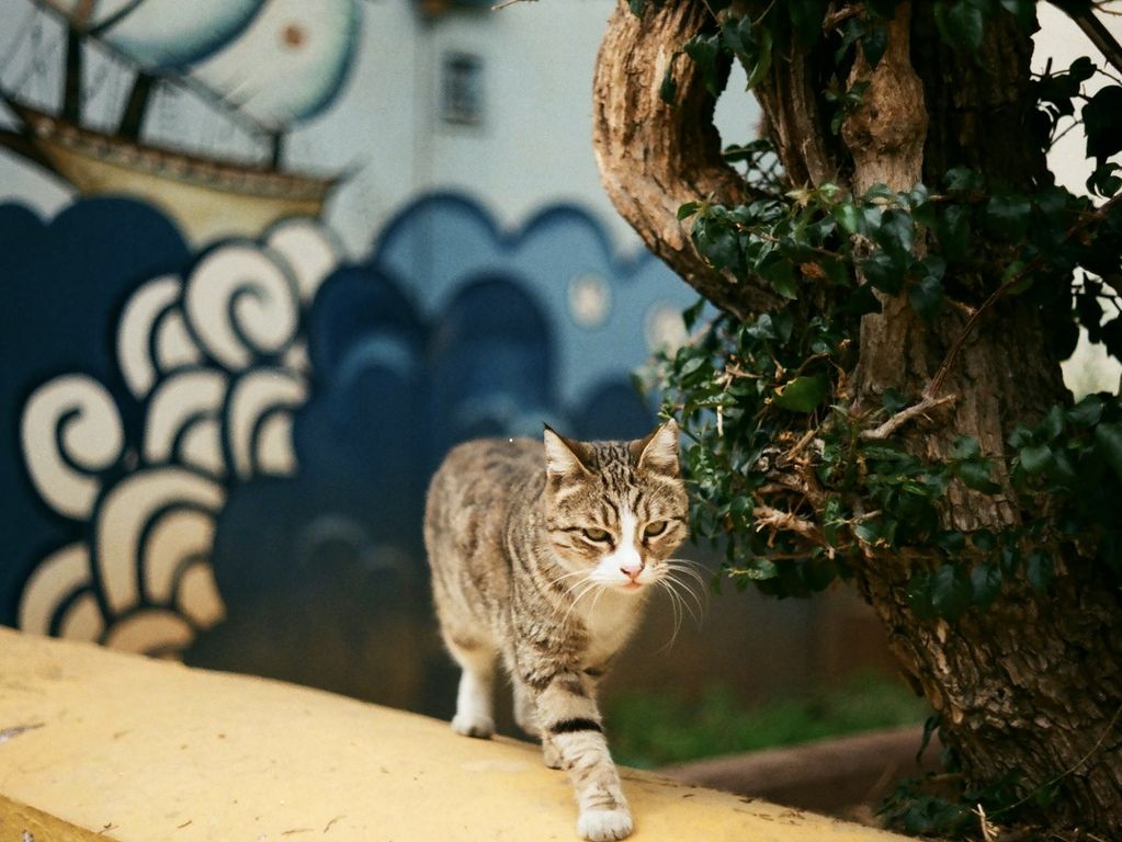 Antalya Turkije 14